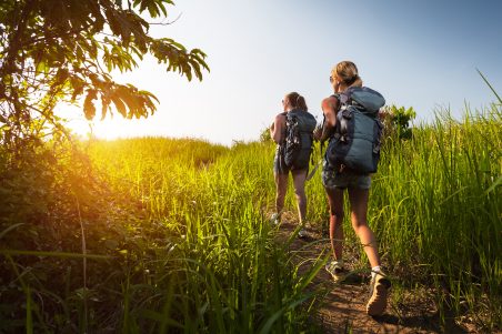 Hikers moving through meadow