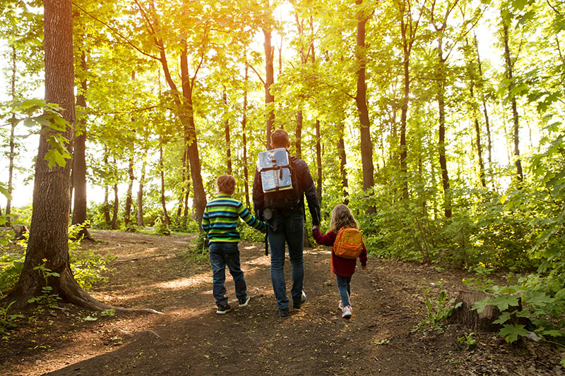 Father and two kids walking through the woods in summertime